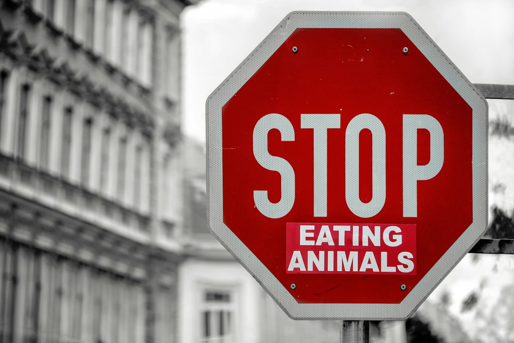 Cartello stradale con scritta STOP eating animals