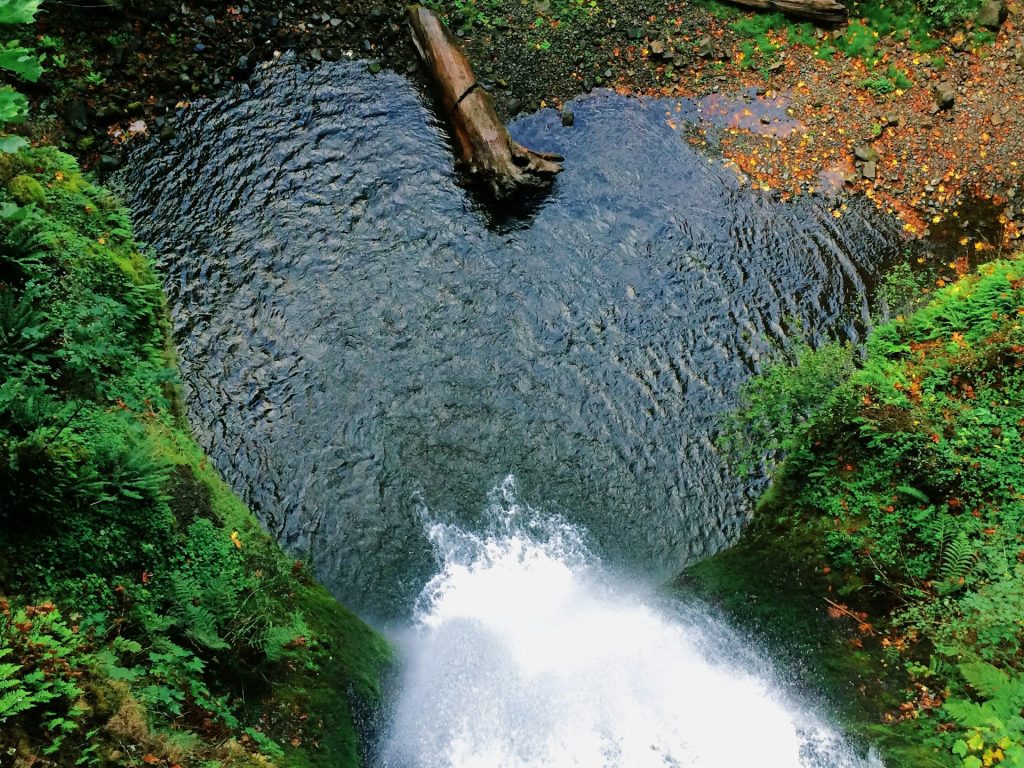 Cascata e pozza d'acqua tra gli alberi