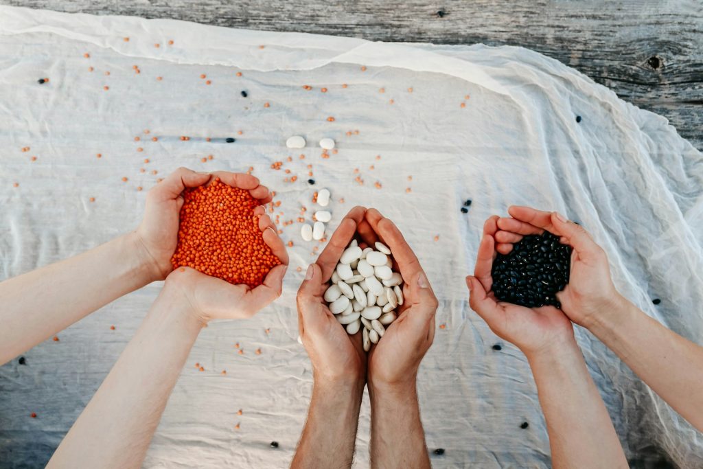 Mani che raccolgono semi per farine di legumi